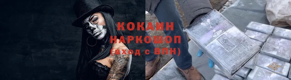 эйфоретик Аркадак
