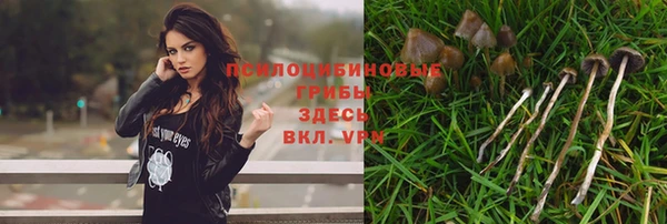 таблы Армянск